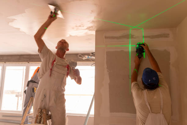 Best Drywall Sanding and Smoothing  in USA